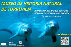 Torrevieja reabre el Museo de Historia Natural a partir del 1 de abril para su visita por libre o visitas guiadas en español e inglés