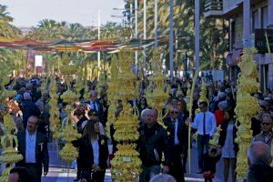 Domingo de Ramos 2023: Esta es la ciudad de la C. Valenciana donde se fabrican las palmas blancas