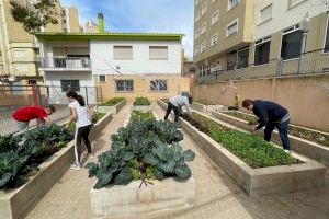 Los centros educativos de Vinaròs participan en el proyecto Ecoescoles