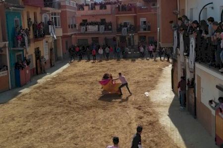 Bous al carrer en la Vall d’Uixó: ganaderías de leyenda y toros de trapío se lidian en Sant Vicent