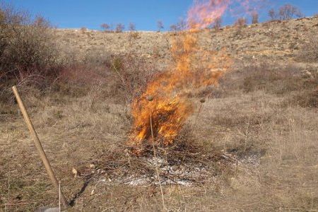 Prohibida hasta nuevo aviso la quema de restos agrícolas en El Campello