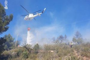 Varios incendios queman masa forestal y agrícola este domingo en la Comunitat Valenciana