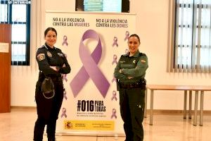 Guardia Civil y Policía Local de la provincia de Valencia adheridos al Sistema VioGén reciben formación en materia de violencia de género