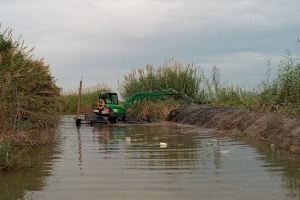 El Ayuntamiento de València adjudica el contrato de conservación y mantenimiento de las acequias y canales de la Albufera
