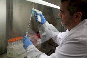 Sanidad almacena muestras biológicas del programa de cribado neonatal para la investigación de enfermedades congénitas neonatales