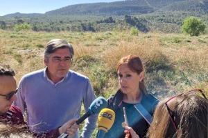 Elisa Díaz: “Los montes de la provincia de Alicante son un polvorín por el abandono y la nula gestión de Puig”