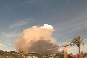 Declarado un incendio forestal en Alzira cerca del parque natural de la Murta y la Casella
