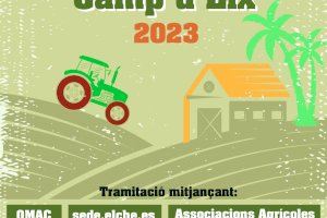 El alcalde anima a los agricultores del Camp d'Elx a solicitar las ayudas de 500 euros para paliar el aumento de costes agrícolas