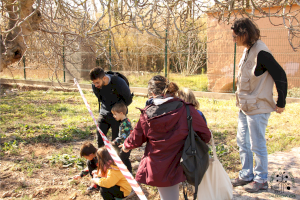 Castelló es ecologia celebrará este sábado el Día de la Tierra con un “scape room” en el Pinar