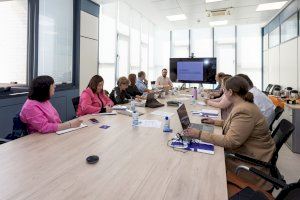 Las universidades públicas valencianas avanzan en el proyecto ProDigital para la mejora de las competencias digitales