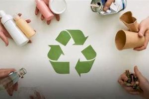 El Ayuntamiento de Aspe introduce el reciclaje en las aulas de los centros educativos