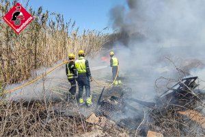 Un incendio en Albatera afecta a cañares y pinos de masa forestal