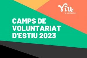 El Puerto de Catarroja acogerá este año su primer Campo de voluntariado de verano