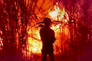 Un incendio arrasa una zona de vegetación en Alfarp