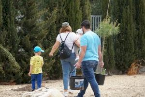 80 árboles de vileros nacidos en 2022 engrosan el patrimonio natural de la Vila Joiosa mediante la iniciativa 'Arbre per naixement'