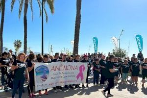 Más de 700 personas participan en la marcha solidaria de Anémona