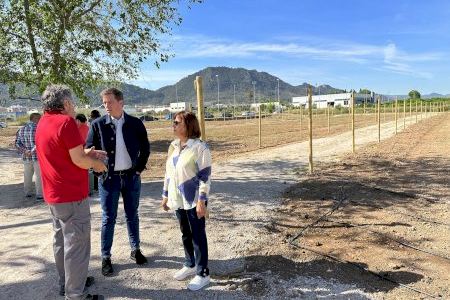 Los huertos sociales de Xàtiva contarán con 40 parcelas