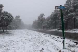 De la neu a la calor estiuenca: fa 10 anys que la C. Valenciana es cobria de blanc un 28 d'abril