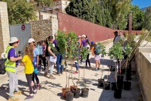 Els Scouts Valencians planten 70 arbres i 110 aromàtiques als Jardins de Joan Pellicer