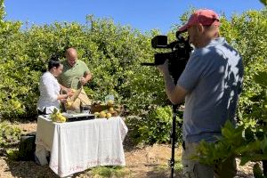 La huerta y la gastronomía de la Vega Baja del Segura, protagonistas del programa Aquí la Tierra de Televisión Española