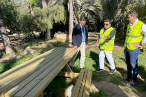 Alicante avanza en las obras de renovación del Parque del Palmeral con una inversión de 362.000 euros
