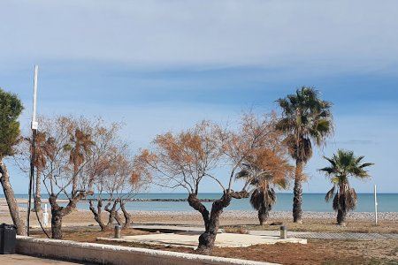 Xilxes rep el reconeixement de municipi turístic de singularitat de la Comunitat Valenciana