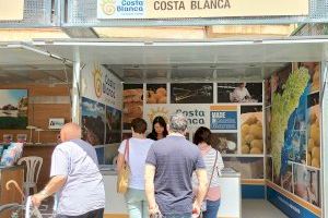 Costa Blanca intensifica su estrategia para captar al turista de proximidad de cara al periodo vacacional