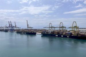 Valenciaport participa en la cumbre del World Ports Climate Action Program