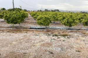 VIDEO | La primera tormenta de granizo del año causa daños en zonas aisladas de la Hoya de Buñol