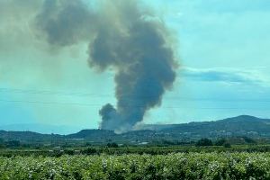 Un incendi forestal a Alfarb obliga a desallotjar algunes cases