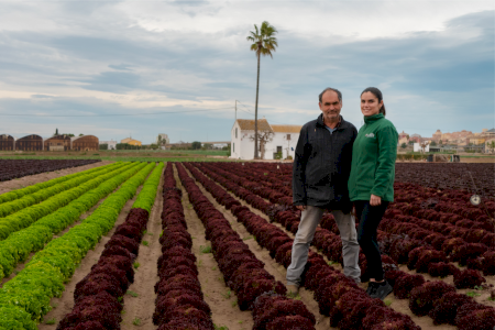 Alboraya refleja la fundamental labor del agricultor en la huerta: uno de sus mayores tesoros