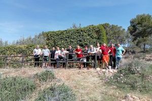 Plantación de trofeos de árboles y castillos en la Pobla de Vallbona y Vilamarxant
