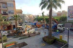 Parques y Jardines remodela la Plaza de España con la plantación de ocho nuevas palmeras datileras, más resistentes al ataque del picudo
