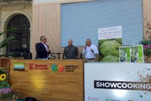 La DO de Benicarló abre la puerta a nuevas variedades de alcachofa