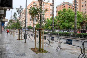 Así lucen las calles José María Haro y José Aguilar tras plantar nuevos árboles