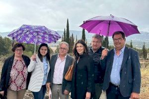 Ciudadanos traslada a Europa la preocupación de la vecindad de Castalla por la instalación de la macroplanta fotovoltaica