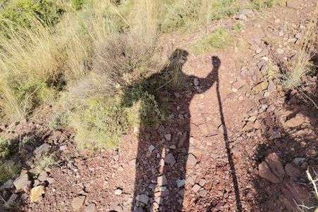 De torero a pastor: la vida de monte del burrianense Vicente Soler