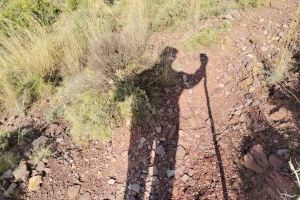 De torero a pastor: la vida de muntanya del burrianense Vicente Soler