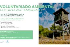 La Diputación de Alicante pone en marcha este verano una nueva edición de los Campos de Voluntariado Ambiental