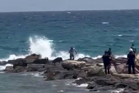 VÍDEO | Un senglar fereix dues persones i obliga a desallotjar una platja al Campello