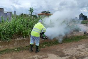 Borriana intensifica el tractament contra els mosquits