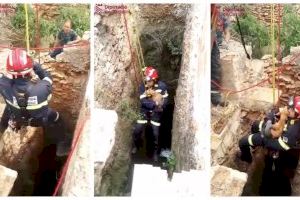 VÍDEO | Rescat a Vinaròs: un gos cau a un pou de 15 metres de profunditat