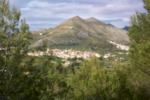Dos anys de presó per agafar del coll i sacsar a un regidor d'un poble d'Alacant