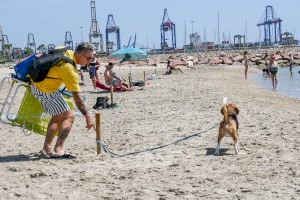 La playa can de Pinedo inicia la temporada estival con la mayor superficie desde 2016