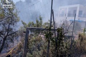 Controlado el incendio forestal cerca de una urbanización de Betxí