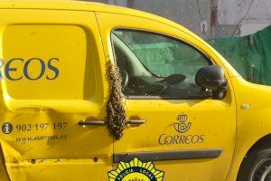 Un enjambre de abejas asalta una furgoneta de Correos en Novelda