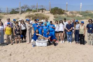 La IV campaña de concienciación “Tortugas en el Mediterráneo” estará en 80 municipios de la CV, Región de Murcia, Andalucía e Illes Balears