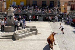 Els bous al carrer: un negoci rendible en la Comunitat Valenciana?