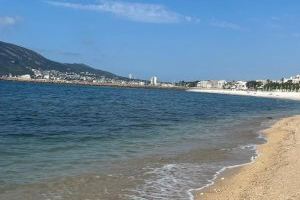 PP: "El ayuntamiento de Altea deja sin servicio de balizamiento nuestras playas en pleno verano"