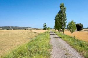 Descubre los mejores caminos naturales de la Comunitat Valenciana